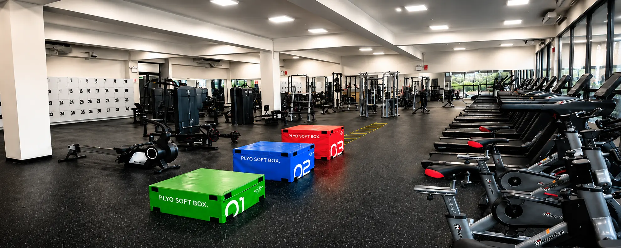 Gimnasio