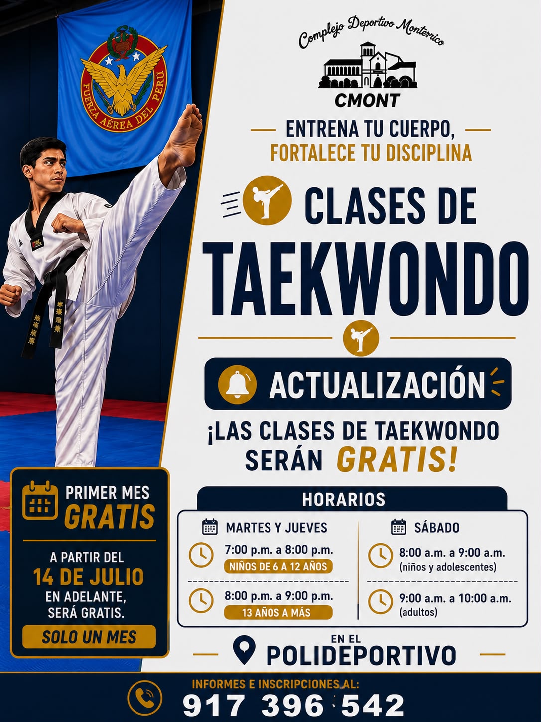 Taekwondo
